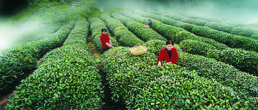  建宁金铙山、寨下大峡谷、李家岩（双动车）2日游