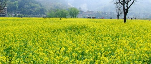 赤壁观猴、赏瀑、泡温泉一日游-L