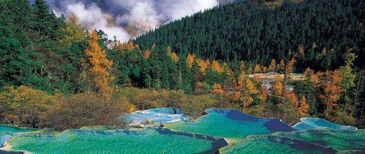【逍遥醉梦】- 成都九寨沟黄龙乐山峨眉全山双飞七日游（高端品质团）（全程0自费）