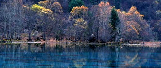 【逍遥醉梦】- 成都九寨沟黄龙乐山峨眉全山双飞七日游（高端品质团）（全程0自费）