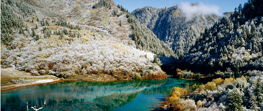 【逍遥醉梦】- 成都九寨沟黄龙乐山峨眉全山双飞七日游（高端品质团）（全程0自费）