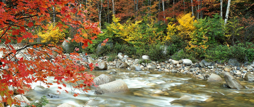 【美食之星豪华之旅】- 成都九寨沟黄龙双飞六日游（高端豪华团）（全程0自费)