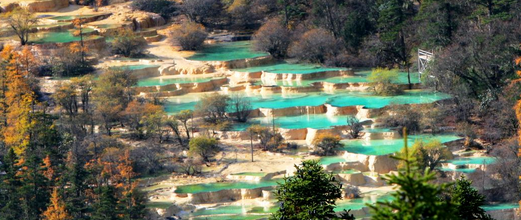 【美食之星豪华之旅】- 成都九寨沟黄龙双飞六日游（高端豪华团）（全程0自费)