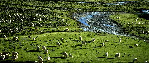 【西北塞外】 西宁、青海湖、塔尔寺甘肃、敦煌双飞单卧单动五日游