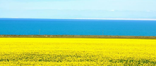 【火车线路】 张掖、嘉峪关、敦煌、吐鲁番、天池火车10日游（4人起发团）