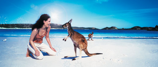 澳新凯12日（协议团） 