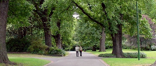 澳新凯12日（协议团） 