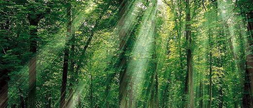 三岛联游——天宁岛/塞班岛/军舰岛六天(6M)