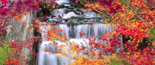 日本本州舒心六日游（福州出发）