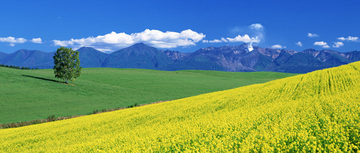 日本本州舒心六日游（福州出发）