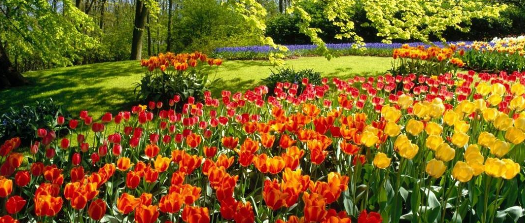 济州首尔四飞五日游