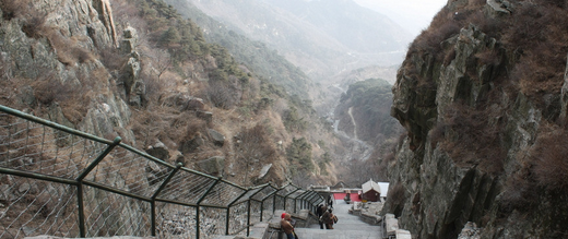 D1/大连 青岛 威海 烟台 蓬莱 泰山 曲阜 济南双飞六日纯玩团