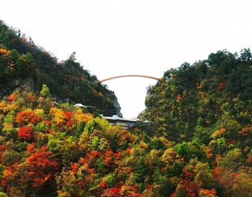 A1至尊优品：武汉黄鹤楼、长江三峡、重庆市内游双飞5日（黄金五星游轮福建拼团）