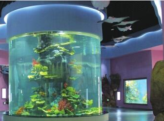 罗源湾海洋世界1日游（赠送“海上博斗”）
