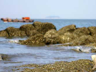 厦门（鼓浪屿）、南靖（田螺坑）、集美、大嶝岛双动三日游