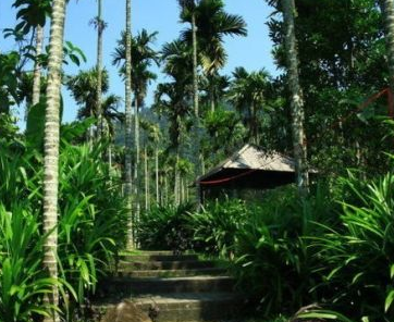 梦之岛 （三亚往返双飞五日游）