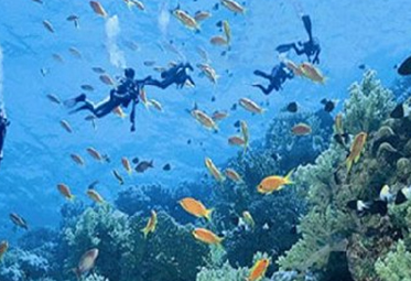 小包团人群特质：逍遥海南“懒人”假期5日游