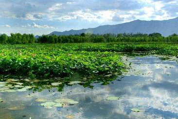 【深度横店】-夜宿乌镇、情迷西塘、杭州西溪西湖+横店4日游